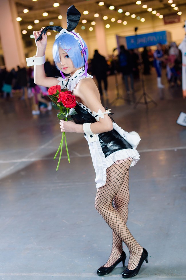 半岛online(中国)