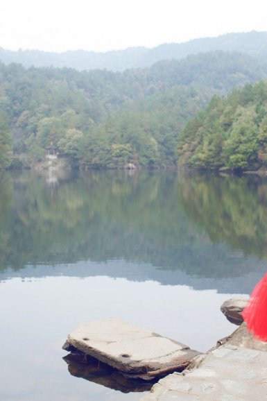 “半岛web版登录入口”2017年10月25日河南鸡蛋价格行情走势(图1) 半岛online(中国)